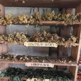 Arany Egyszarvú Patikamúzeum Kőszeg - Belső