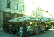 Cafe Frei Székesfehérvár