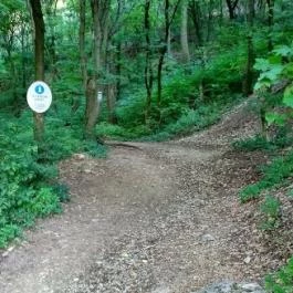 Csókakő vára, Csókakő - 