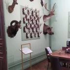 Szabadkígyósi Wenckheim-kastély Szabadkígyós - Egyéb