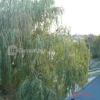 Duna Relax & Event Hotel Ráckeve - Környék