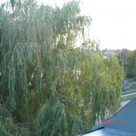 Duna Relax & Event Hotel, Ráckeve - Környék