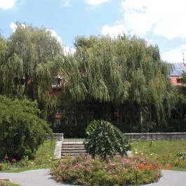 Duna Relax & Event Hotel, Ráckeve - Környék