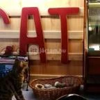 Kultúrmacska Kávézó Veszprém - Belső