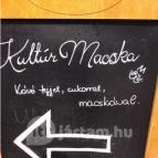 Kultúrmacska Kávézó Veszprém - Egyéb