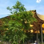 Magyar Zene Háza Budapest - Egyéb