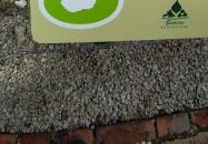 Mini Magyarország Szarvas