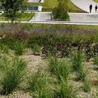 Néprajzi Múzeum Budapest - Egyéb