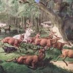 Sándor-Metternich-kastély Bajna - Egyéb