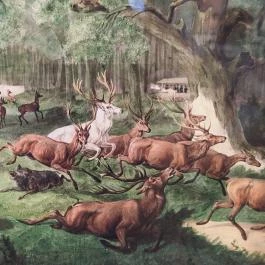 Sándor-Metternich-kastély, Bajna - Egyéb