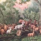 Sándor-Metternich-kastély Bajna - Egyéb