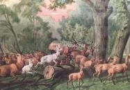 Sándor-Metternich-kastély Bajna