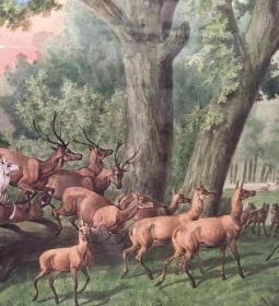 Sándor-Metternich-kastély