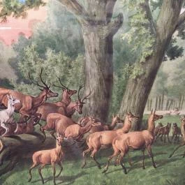 Sándor-Metternich-kastély, Bajna - Egyéb