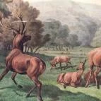 Sándor-Metternich-kastély Bajna - Egyéb