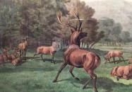 Sándor-Metternich-kastély Bajna