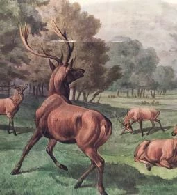 Sándor-Metternich-kastély