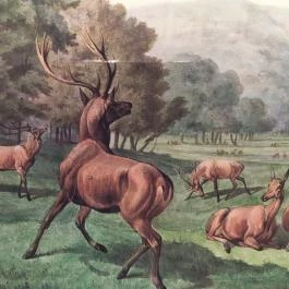 Sándor-Metternich-kastély, Bajna - Egyéb