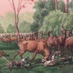 Sándor-Metternich-kastély Bajna - Egyéb