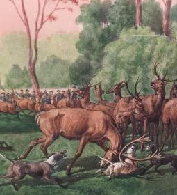 Sándor-Metternich-kastély