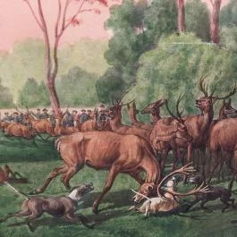 Sándor-Metternich-kastély, Bajna - Egyéb