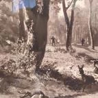 Sándor-Metternich-kastély Bajna - Egyéb