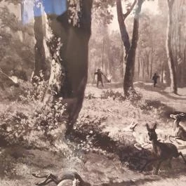 Sándor-Metternich-kastély, Bajna - Egyéb