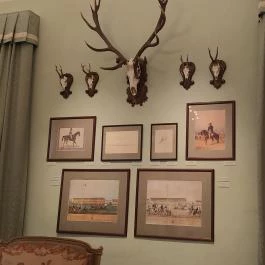 Sándor-Metternich-kastély, Bajna - Egyéb