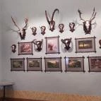 Sándor-Metternich-kastély Bajna - Egyéb