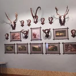 Sándor-Metternich-kastély, Bajna - Egyéb