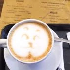 SD Coffee Bar Tatabánya - Egyéb