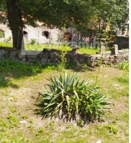 Vértesszentkereszti bencés apátsági templomrom