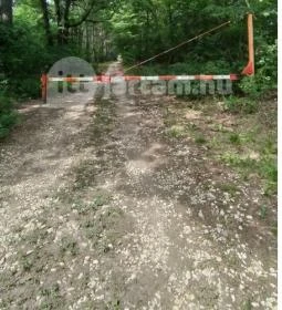 Vértesszentkereszti bencés apátsági templomrom