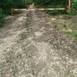 Vértesszentkereszti bencés apátsági templomrom Oroszlány - Egyéb