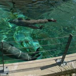 Veszprémi Állatkert Veszprém - Egyéb