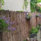 Vikor Cukrászda Tata - Egyéb