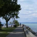 Club Aliga Balatonvilágos - Környék