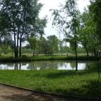 Hotel Termálkristály Aqualand Ráckeve - Medence/kert