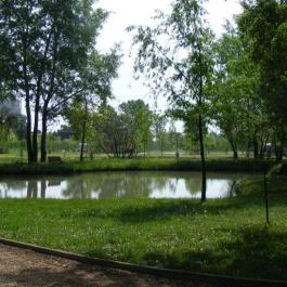 Hotel Termálkristály Aqualand, Ráckeve - Medence/kert