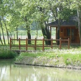 Hotel Termálkristály Aqualand, Ráckeve - Medence/kert