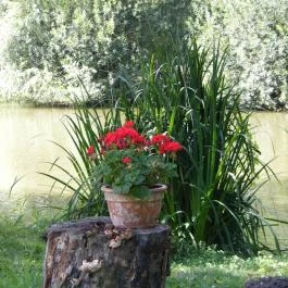 Zichy Park Hotel Bikács - Környék