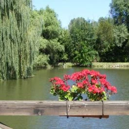 Zichy Park Hotel Bikács - Medence/kert