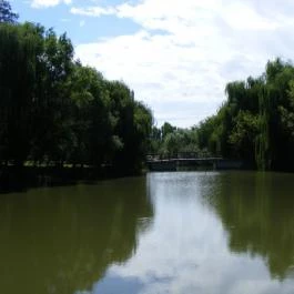 Zichy Park Hotel Bikács - Medence/kert