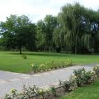 Zichy Park Hotel Bikács - Medence/kert