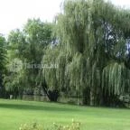 Zichy Park Hotel Bikács - Medence/kert