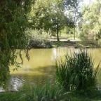 Zichy Park Hotel Bikács - Medence/kert