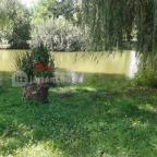 Zichy Park Hotel Bikács - Medence/kert