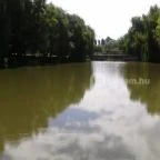 Zichy Park Hotel Bikács - Medence/kert