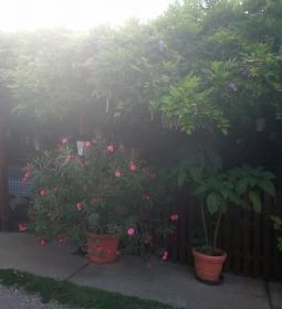 Lilaakác Kisvendéglő