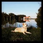 Hotel Villa Natura Garabonc - Környék